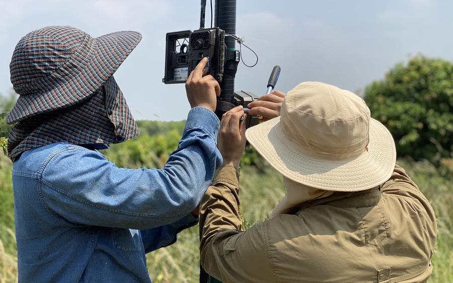 Field researchers setting up camera traps for wildlife monitoring